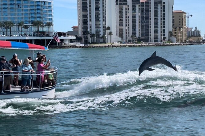 Clearwater Encounters with Dolphins Tour - How weather affects your day (and how the crew handles it)