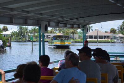 Cocoa Beach Dolphin and Wildlife Tour - Price and what you’re really paying for (about $47.50)