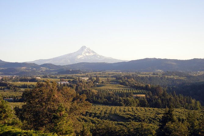 Columbia River Gorge Waterfalls & Mt Hood Tour from Portland, OR - Latourell Falls: a short walk to a big drop