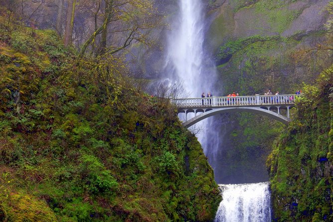 Columbia River Gorge Waterfalls Tour from Portland, OR - Price and Value: What $89 Buys You in the Gorge