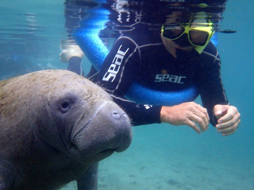 Crystal River: Manatee Snorkel Tour w/ In-Water Photographer - Three Sisters Springs is the real draw in Crystal River