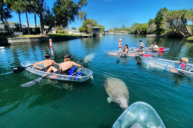 Crystal River Three Sisters Springs and Manatee Clear Kayak Tours - Manatee Season Paddling: Seeing Gentle Giants Up Close