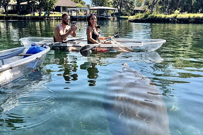 Crystal River Three Sisters Springs and Manatee Clear Kayak Tours - What’s Included, What Isn’t, and What to Bring