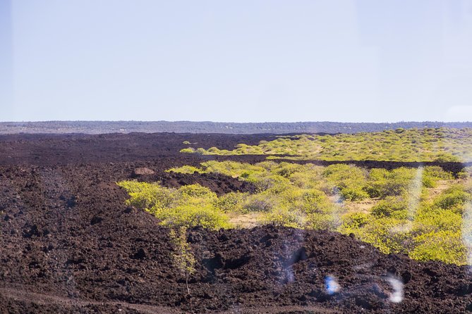 Day Trip from Oahu to Hilo: Volcano Adventure - Value Check: Is $654.46 Worth It?