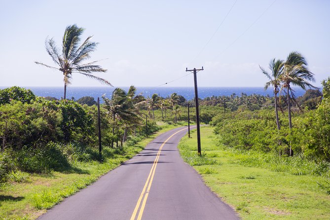 Day Trip from Oahu to Hilo: Volcano Adventure - Chain of Craters Road and Devastation Trail: The Drive That Explains Itself