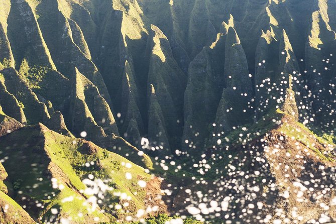 Deluxe Na Pali Sunset Tour on the Lucky Lady - Wildlife odds: how dolphins, turtles, and whales usually shape the trip
