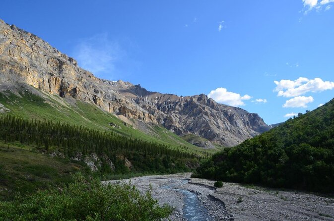 Denali Park Zipline Adventure - Key things that make this Denali zipline worth your time
