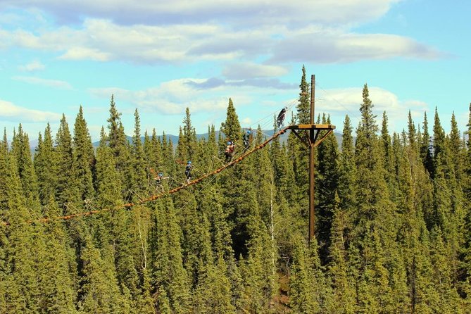 Denali Park Zipline Adventure - Denali Park ziplining: what makes this course feel special