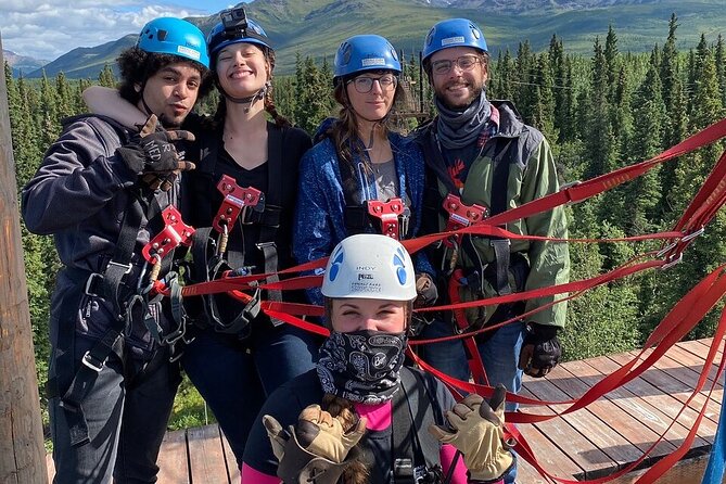 Denali Park Zipline Adventure - Price and value: what $208.99 buys you in 3 hours