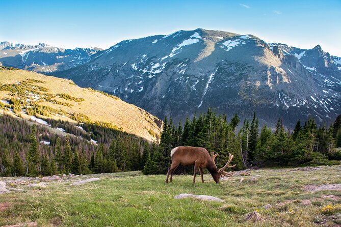 Discover Rocky Mountain National Park - From Denver to Rocky Mountain National Park: the value of a long, guided day