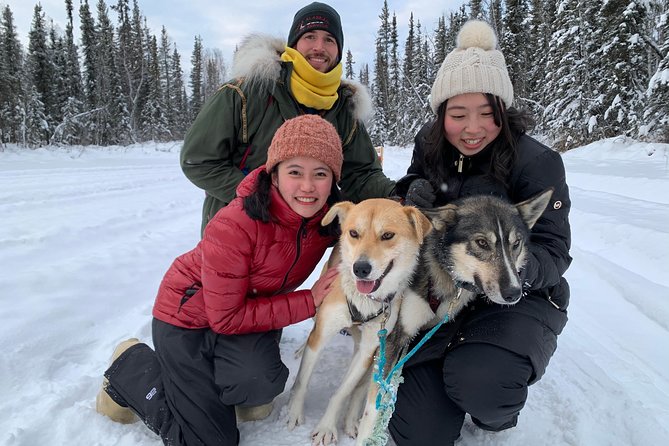 Dog Sledding and Mushing Experience in North Pole - Key points before you go