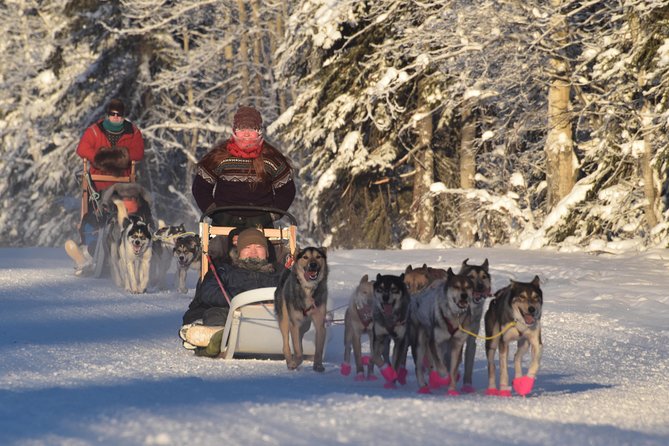 Dog Sledding and Mushing Experience in North Pole - Price and value: what $105 buys per person
