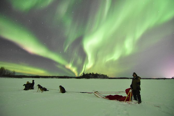 Dog Sledding and Mushing Experience in North Pole - Start at Rod’s Alaskan Guide Service: your warm-up phase