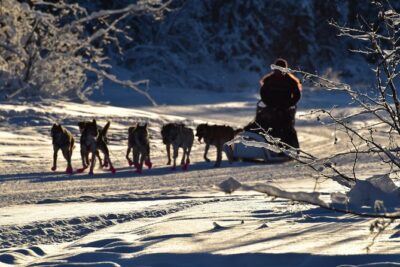 Dog Sledding and Mushing Experience in North Pole - Gear-up like you mean it (and what to bring anyway)