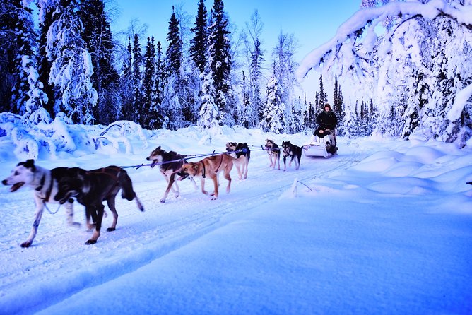 Dog Sledding and Mushing Experience in North Pole - Who you’ll ride with: mushers and guides you might meet