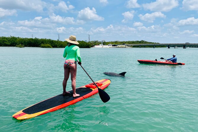 Dolphin and Manatee Adventure Tour of Fort Myers - Fort Myers Beach stop: seashell hunting plus an actual coastal break