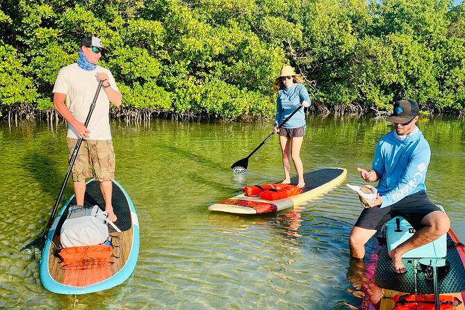 Dolphin and Manatee Adventure Tour of Fort Myers - The guide makes the difference: Eric’s teaching style (and why it gets mentioned)