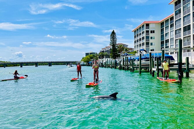 Dolphin and Manatee Adventure Tour of Fort Myers - Price and value: $65 for two hours that actually use your time