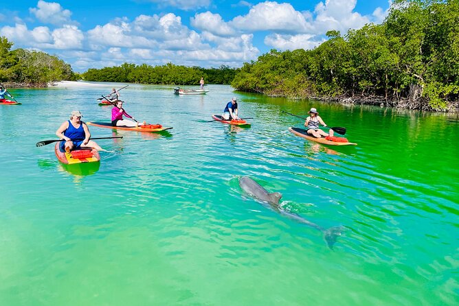 Dolphin and Manatee Adventure Tour of Fort Myers - Meeting in Bonita Springs: where you start and what to expect
