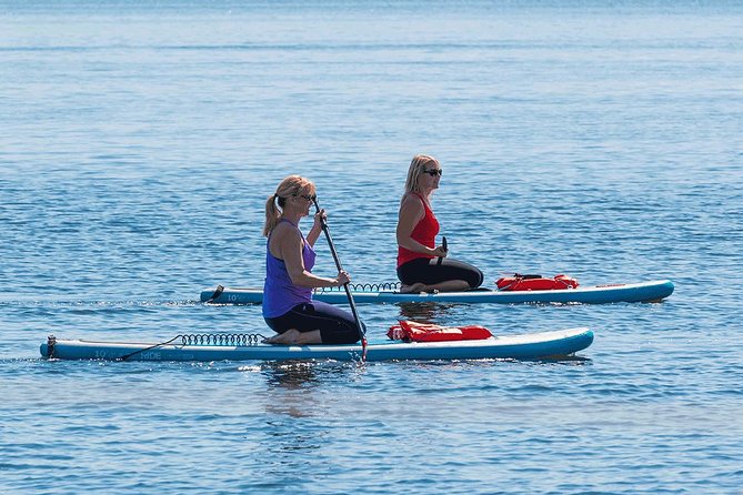 Dolphin and Manatee Stand Up Paddleboard Tour in Daytona Beach - Why Daytona’s Dolphin and Manatee SUP Tour Feels Relaxed