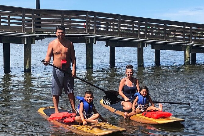 Dolphin and Manatee Stand Up Paddleboard Tour in Daytona Beach - The Lesson, Gear, and Your Backup Plan (Kayak Option)