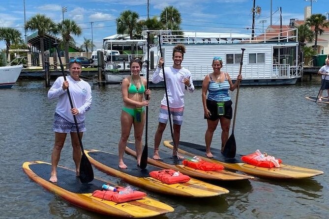 Dolphin and Manatee Stand Up Paddleboard Tour in Daytona Beach - What the Route Looks Like: Seven Bridges, Islands, and Canal Time