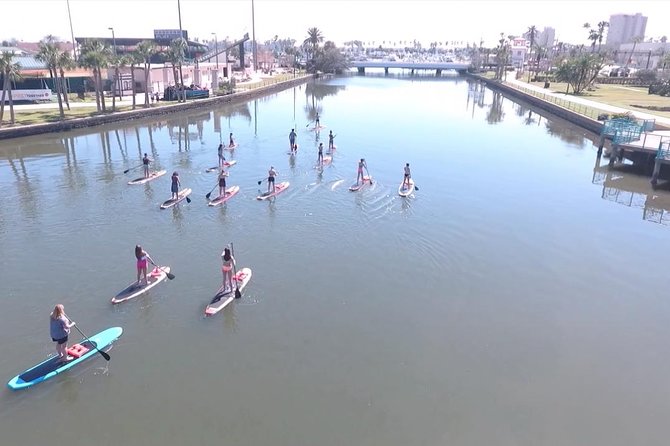 Dolphin and Manatee Stand Up Paddleboard Tour in Daytona Beach - Wildlife Expectations: Manatees, Dolphins, and Why It Can Go Either Way