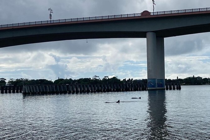 Dolphin and Manatee Stand Up Paddleboard Tour in Daytona Beach - Timing in Daytona: Why the 8:30am and 10:30am Slots Matter
