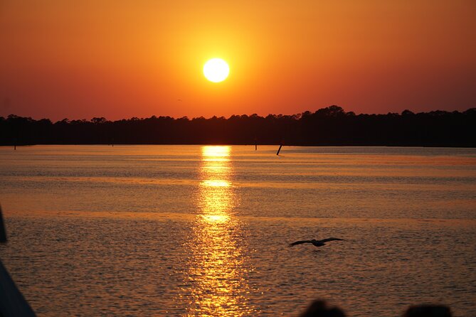 Dolphin and Nature Sunset Cruise from Orange Beach - Quick Key Points to Know