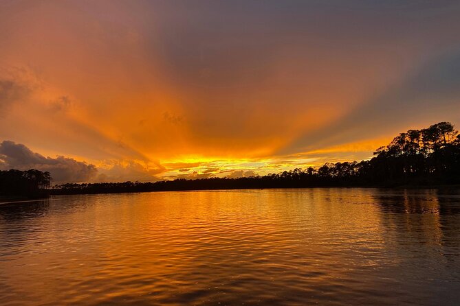 Dolphin and Nature Sunset Cruise from Orange Beach - Orange Beach’s Golden Hour on The Explorer (The Boat That Fits the Bay)