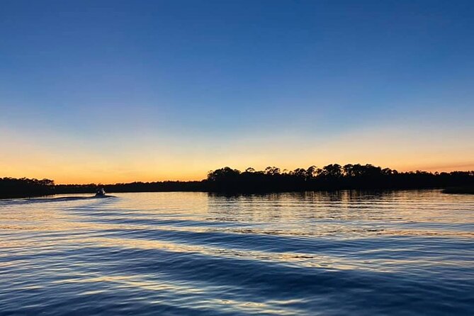 Dolphin and Nature Sunset Cruise from Orange Beach - The Shallow-Creek Advantage (Why This Boat Gets You Closer)