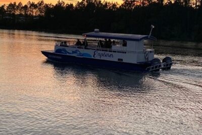 Dolphin and Nature Sunset Cruise from Orange Beach - Wildlife Search Mode in the Back Bays (How the Dolphin Spotting Really Works)