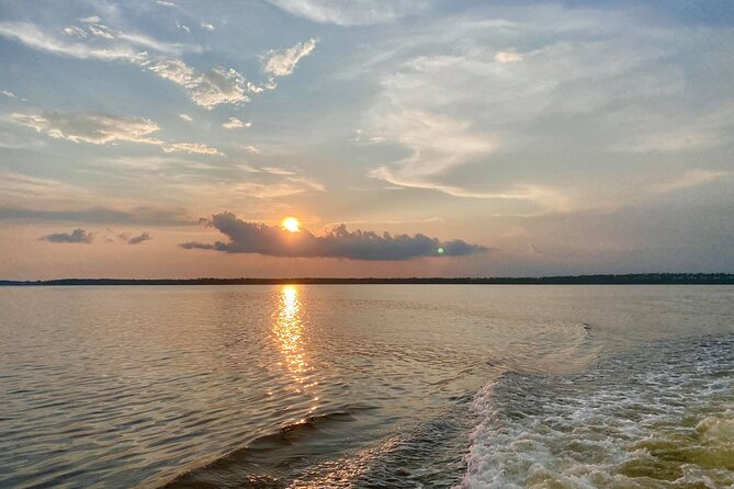 Dolphin and Nature Sunset Cruise from Orange Beach - The Onboard Team Energy (From Captain to Crew to Music)