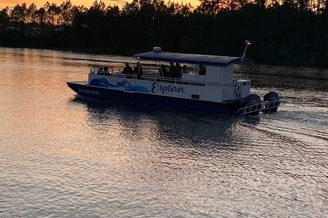 Dolphin and Nature Sunset Cruise from Orange Beach - Wildlife Search Mode in the Back Bays (How the Dolphin Spotting Really Works)