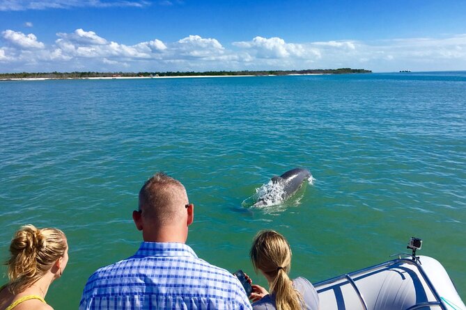 Dolphin and Shelling Cruise for up to 12 people - How to Shell Smarter (So You Don’t Just Rush)