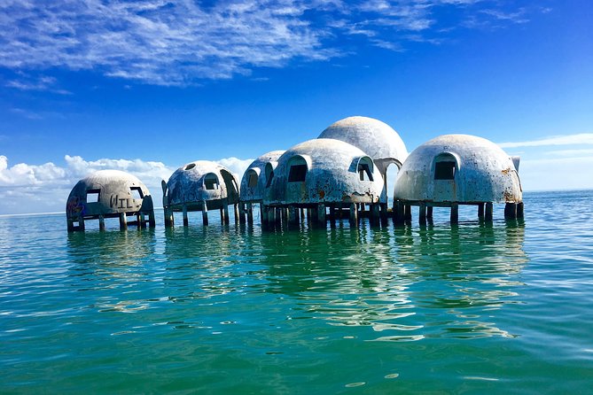 Dolphin and Shelling Cruise for up to 12 people - Wildlife Viewing: Birds, Manatees, and the Dolphin Bonus