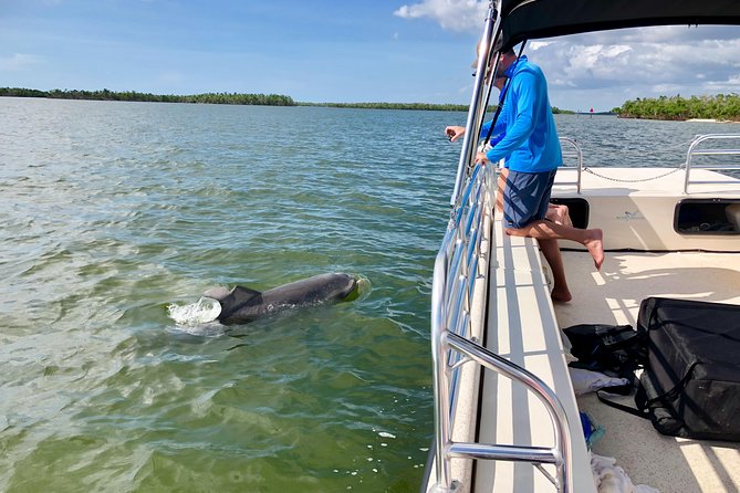 Dolphin and Shelling Cruise for up to 12 people - Ride Quality and What the “Relaxing” Experience Actually Means