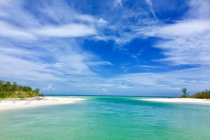 Dolphin and Shelling Cruise for up to 12 people - The Route Game: Where Dolphins and Manatees Show Up