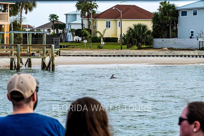 Dolphin and Wildlife Adventure of St. Augustine - Live Naturalist Commentary: What the Crew Adds on a 90-Minute Ride