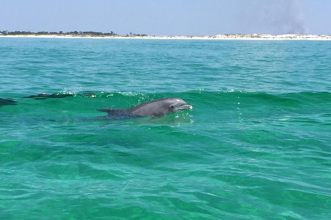 Dolphin Cruise in Destin FL - Route Reality: HarborWalk to East Pass to the Gulf
