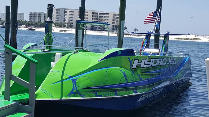 Dolphin Cruise in Destin FL - Dolphin Chances, Plus Rays, Turtles, and Other Surprise Wildlife