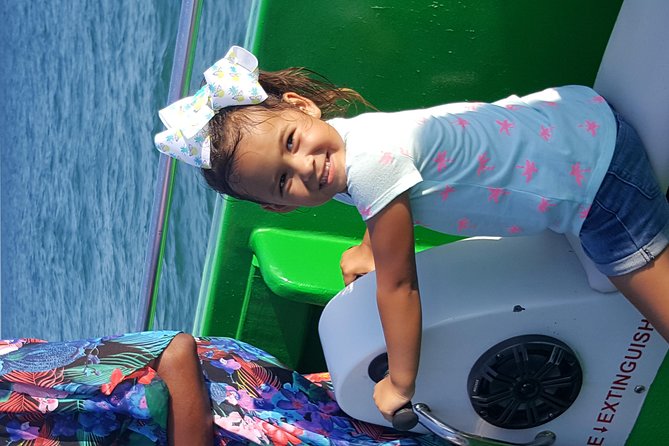 Dolphin Cruise in Destin FL - Price and Value: Is $37 Worth It?