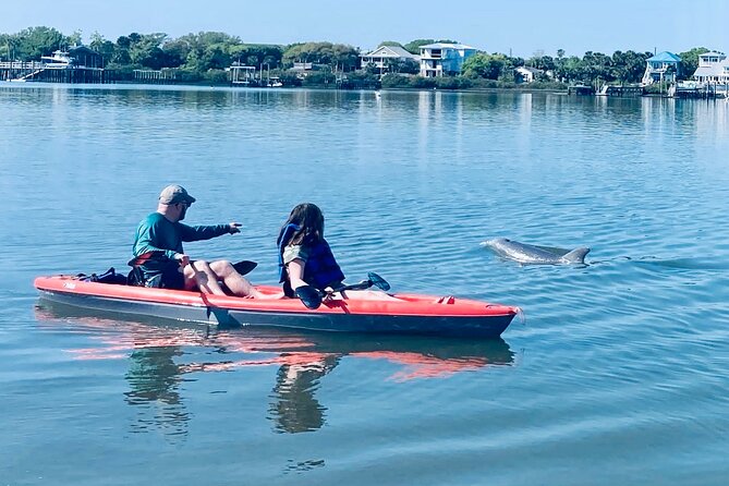 Dolphin, Manatee and SeaTurtle SUP Adventure Tour of St Augustine - Why This St Augustine SUP Adventure Feels Like Real Florida