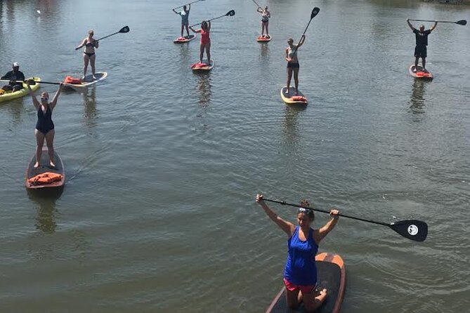 Dolphin, Manatee and SeaTurtle SUP Adventure Tour of St Augustine - What the Best Guides Actually Do (From the Feedback I’d Trust)
