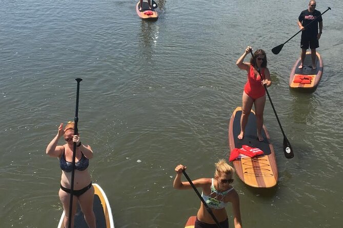 Dolphin, Manatee and SeaTurtle SUP Adventure Tour of St Augustine - Timing Choices: How Start Times Affect Comfort and Sight Odds