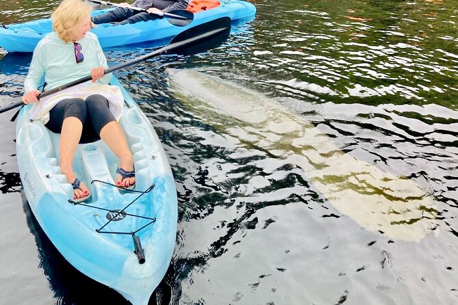 Dolphin, Manatee and SeaTurtle SUP Adventure Tour of St Augustine - Who Should Book This SUP Tour (and Who Should Think Twice)