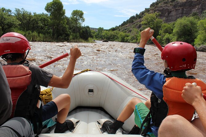 Durango 1/4 Day Rafting Trip - Lower Animas River - What the hour on the river feels like: Class II plus one Class III