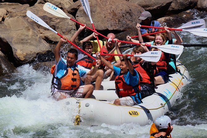 Durango Half Day Rafting Trip - Lower Animas River - Key things to know before you go