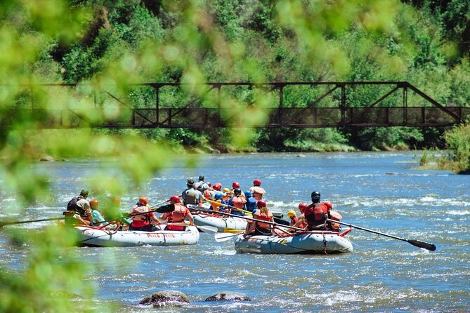 Durango Half Day Rafting Trip - Lower Animas River - Duration and pacing: what a 4-hour day really feels like