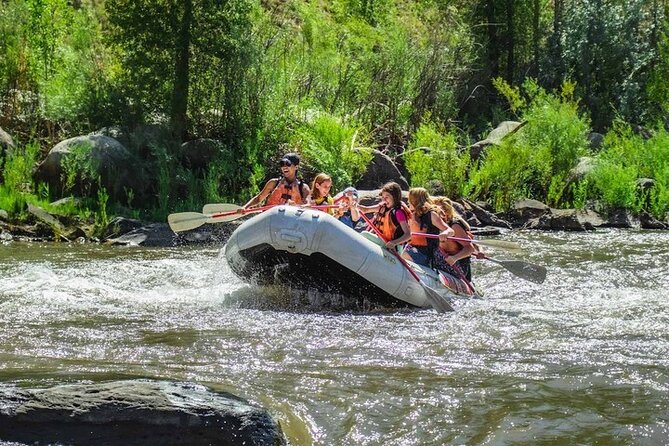 Durango Half Day Rafting Trip - Lower Animas River - Who should book this trip: families, beginners, and thrill-curious folks
